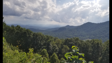 Blue Ridge Parkway